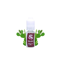 Concentré Cactus 10 ml - Solana