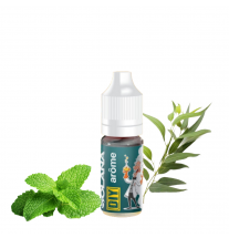 Concentré Menthe Eucalyptus 10 ml - Solana