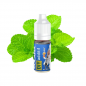 Additif Menthol 10ml