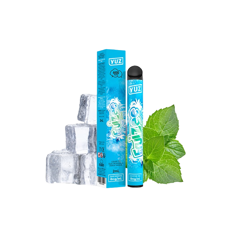 Pod Jetable Ice Mint - Yuz - Eliquid France