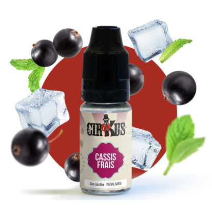 E-liquide Menthe Xtra Givrée 50ml - Cirkus Authentic - VDLV