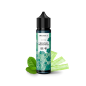 Menthe Chlorophylle 40ml - Nectar - Protect