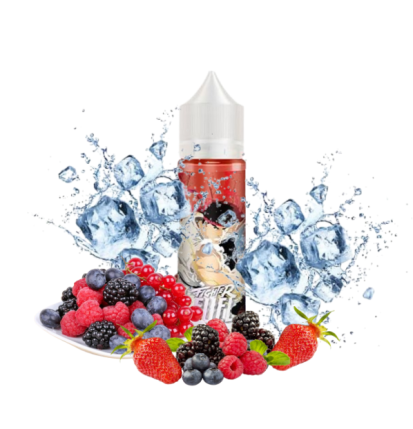 Seiryuto 50ml - Fighter Fuel - Maison Fuel